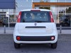 Fiat Panda pandina 1.0 firefly hybrid 70cv pop s&s