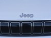 Jeep Avenger 1.2 turbo 100cv altitude fwd