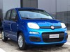 Fiat Panda pandina 1.0 firefly hybrid 70cv pop s&s