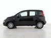Fiat Panda pandina 1.0 firefly hybrid 70cv pop s&s