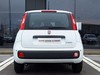 Fiat Pandina 1.0 firefly hybrid 65cv icon s&s 5p.ti