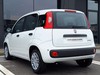 Fiat Pandina 1.0 firefly hybrid 65cv icon s&s 5p.ti