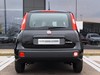 Fiat Pandina 1.0 firefly hybrid 65cv icon s&s 5p.ti