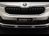 Skoda Kamiq 1.0 tsi 95cv selection