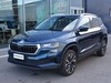 Skoda Karoq 2.0 tdi evo scr 115cv style dsg