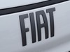Fiat Professional Doblò Series 4 Van M 1.5Diesel 130 Cv Manuale