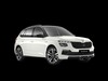 Skoda Kamiq 1.0 tsi 115cv monte carlo