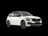 Skoda Kamiq 1.0 tsi 115cv monte carlo