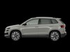 Skoda Karoq 1.5 tsi act be more dsg