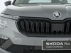 Skoda Kamiq 1.0 tsi 115cv black dots dsg
