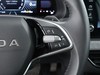 Skoda Kamiq 1.0 tsi 115cv black dots dsg