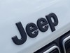 Jeep Avenger 1.2 turbo e-hybrid mhev 110cv black edition fwd edct6