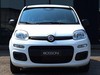 Fiat Pandina 1.0 firefly hybrid 65cv icon s&s 5p.ti