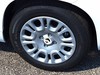 Fiat Pandina 1.0 firefly hybrid 65cv icon s&s 5p.ti