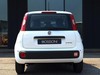 Fiat Pandina 1.0 firefly hybrid 65cv icon s&s 5p.ti