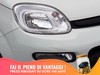 Fiat Panda 1.0 firefly hybrid 70cv s&s