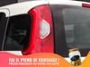 Fiat Panda 1.0 firefly hybrid 70cv s&s