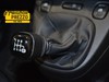 Fiat Panda cross 1.0 firefly hybrid 70cv s&s 5p.ti
