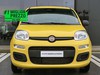 Fiat Panda 1.0 firefly hybrid 70cv s&s