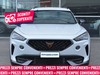 Cupra Formentor 2.0 tdi 150cv 4drive