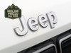 Jeep Avenger 1.2 turbo e-hybrid 100cv altitude fwd edct6