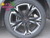 Cupra Formentor 2.0 tdi 150cv 4drive