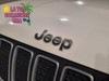 Jeep Renegade 1.6 multijet ii 130cv limited 2wd