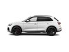 Audi Q5 55 2.0 tfsi e s line plus quattro s tronic