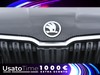 Skoda Kamiq 1.0 tsi 110cv ambition dsg