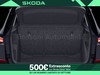 Skoda Kamiq 1.0 tsi 115cv black dots