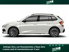 Skoda Kamiq 1.0 tsi 95cv style