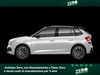 Skoda Kamiq 1.0 tsi 95cv 130 edition
