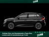 Skoda Kamiq 1.0 tsi 115cv monte carlo