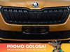 Skoda Kamiq 1.0 tsi 110cv monte carlo