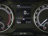 Skoda Kamiq 1.0 tsi 110cv black dots