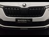 Skoda Kamiq 1.0 tsi 110cv dark shade
