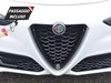 Alfa Romeo Stelvio 2.2 turbo 210cv veloce q4 at8