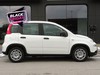 Fiat Panda 1.0 firefly hybrid 70cv s&s