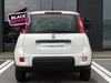 Fiat Panda 1.0 firefly hybrid 70cv s&s