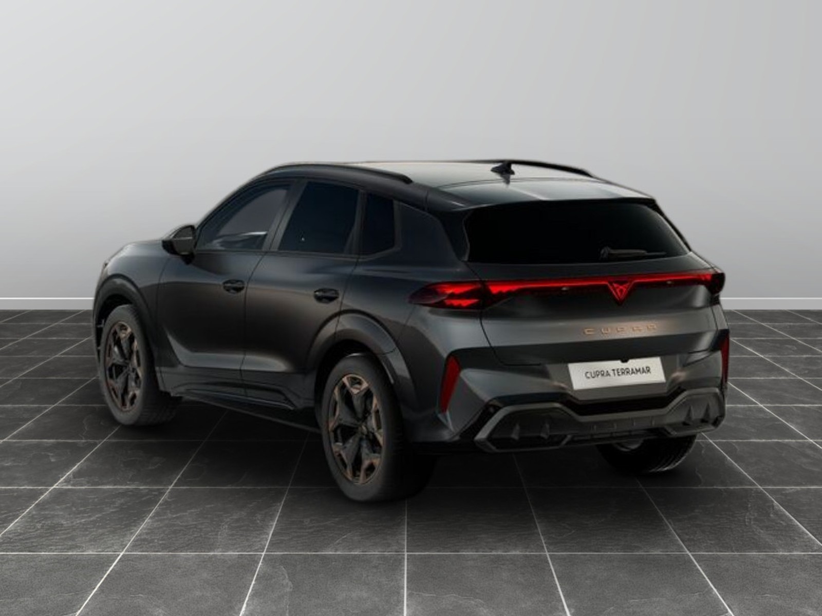 12 - Cupra Terramar 1.5 hybrid 150cv