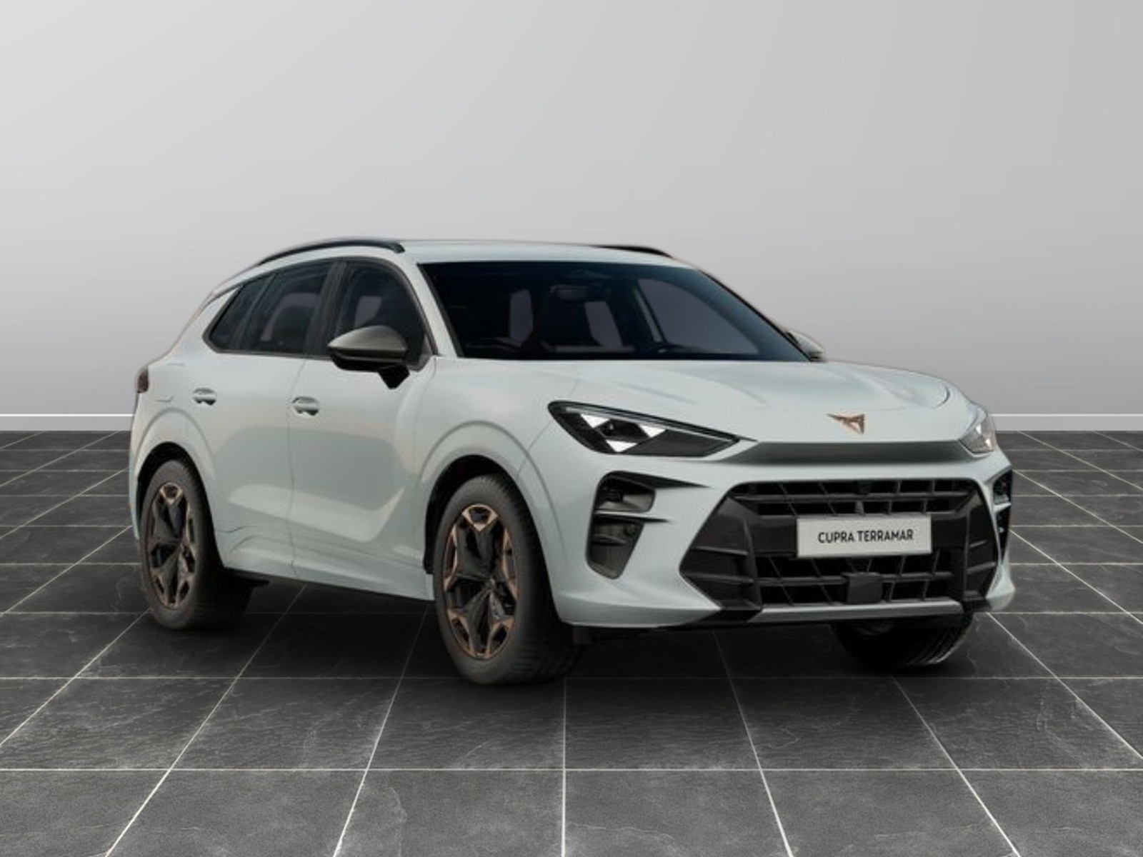 9 - Cupra Terramar 1.5 hybrid 150cv