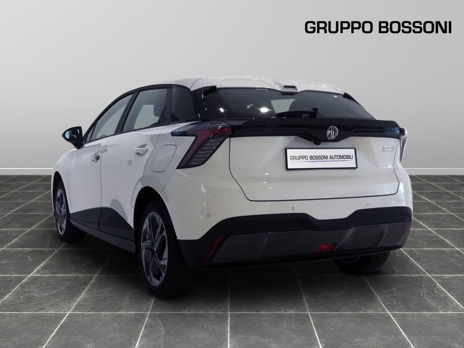 5 - Mg MG4 standard49