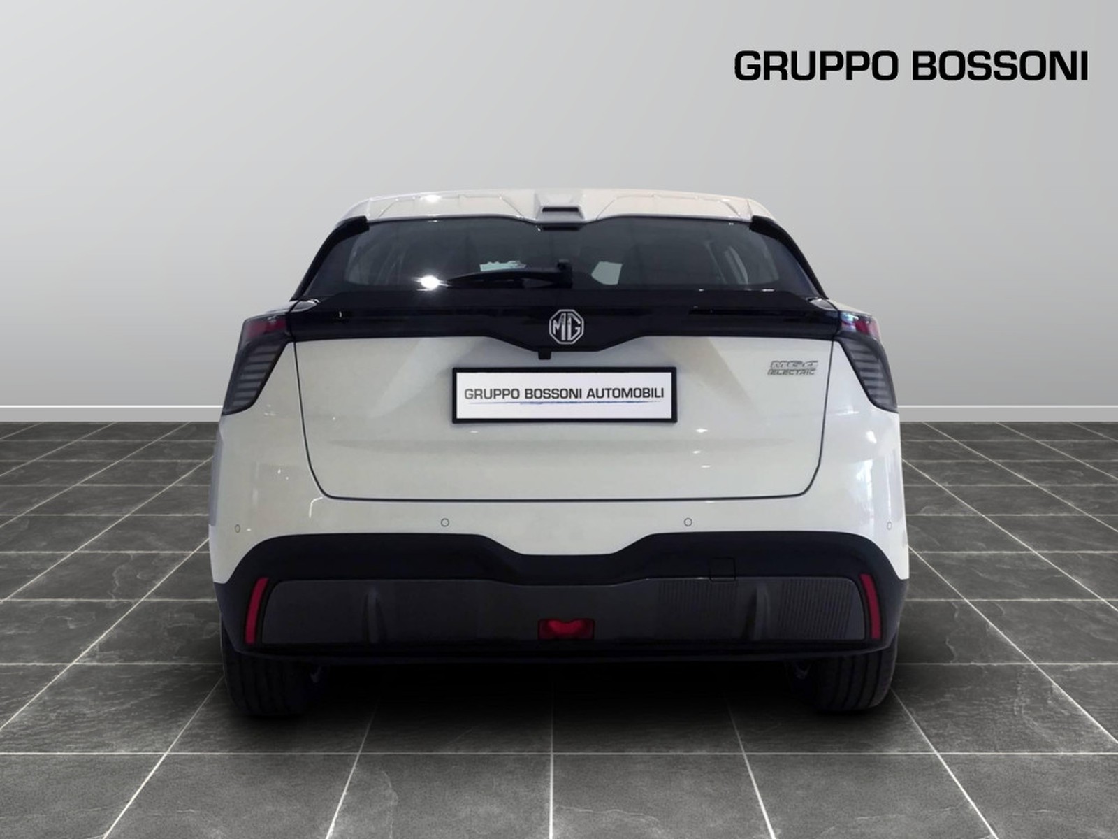 6 - Mg MG4 standard49