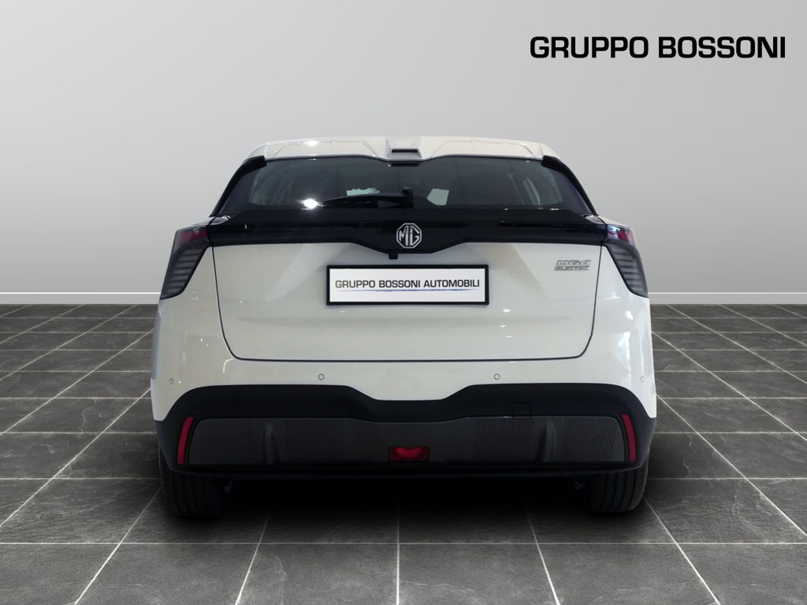 5 - Mg MG4 standard49