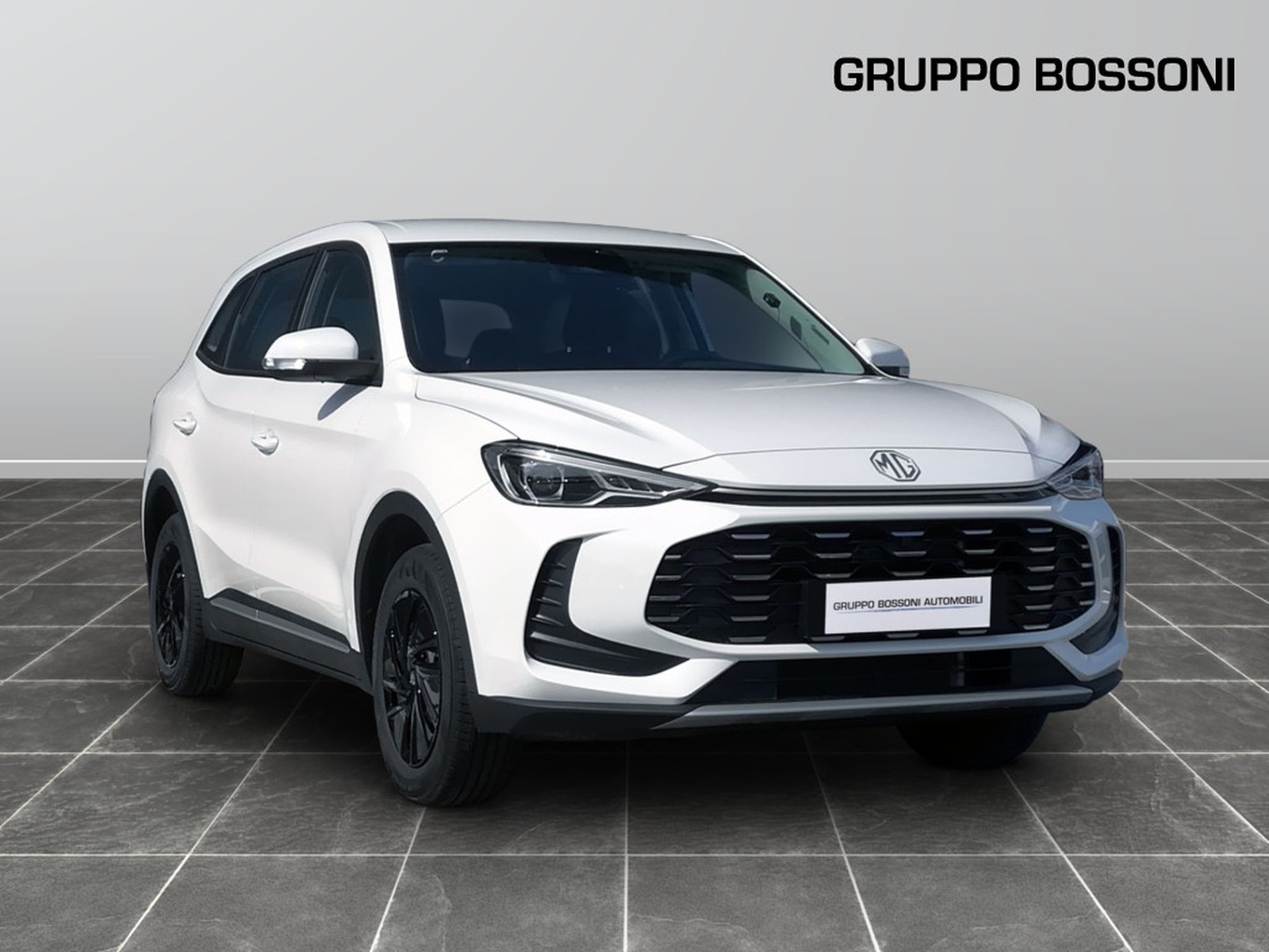 3 - Mg ZS 1.5 standard