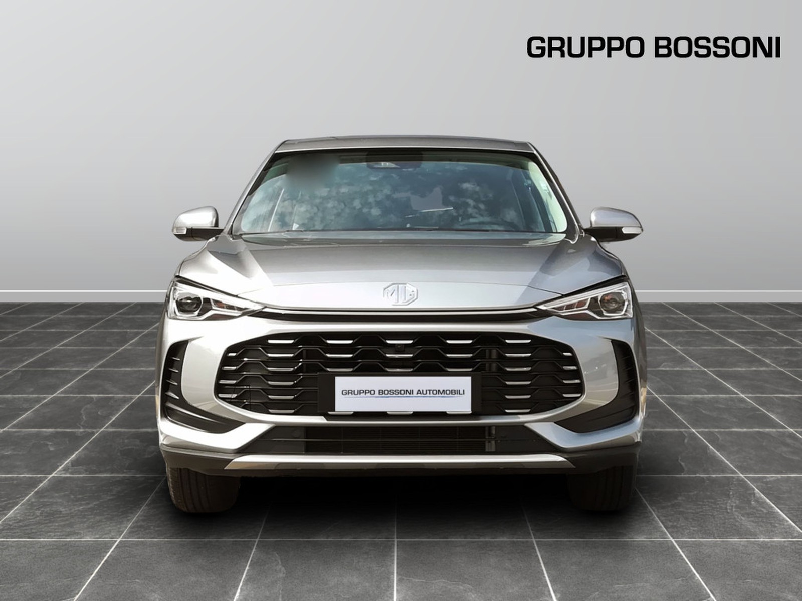 2 - Mg ZS 1.5 standard