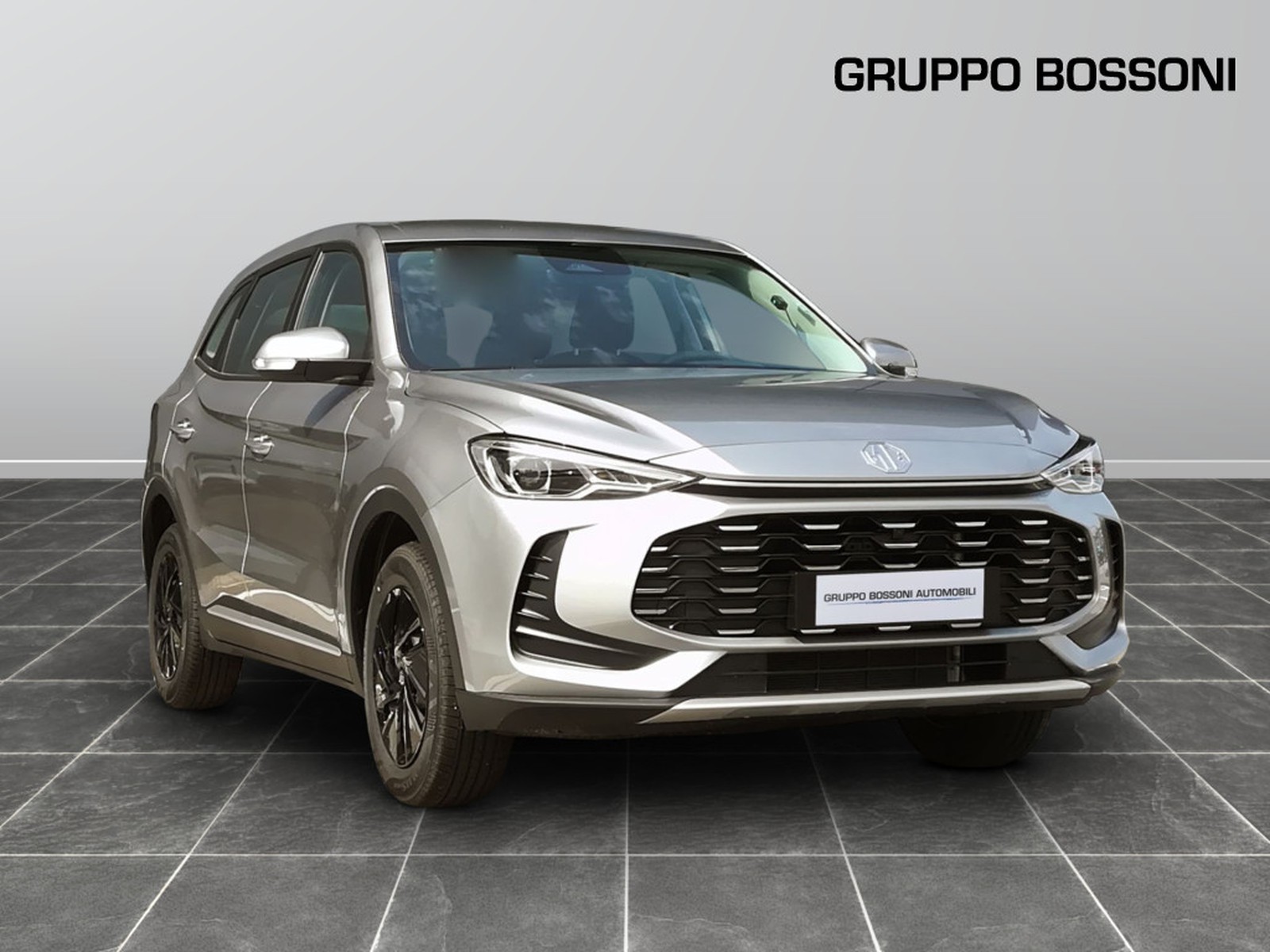 3 - Mg ZS 1.5 standard