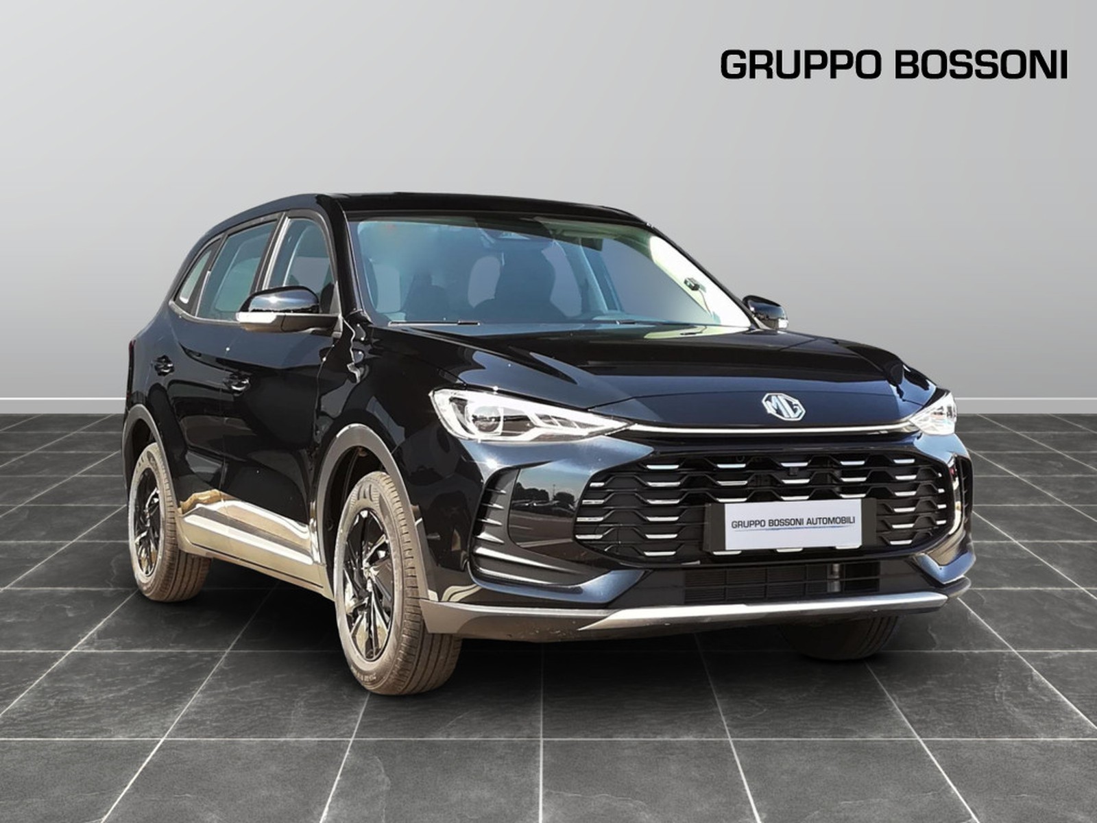 3 - Mg ZS 1.5 standard