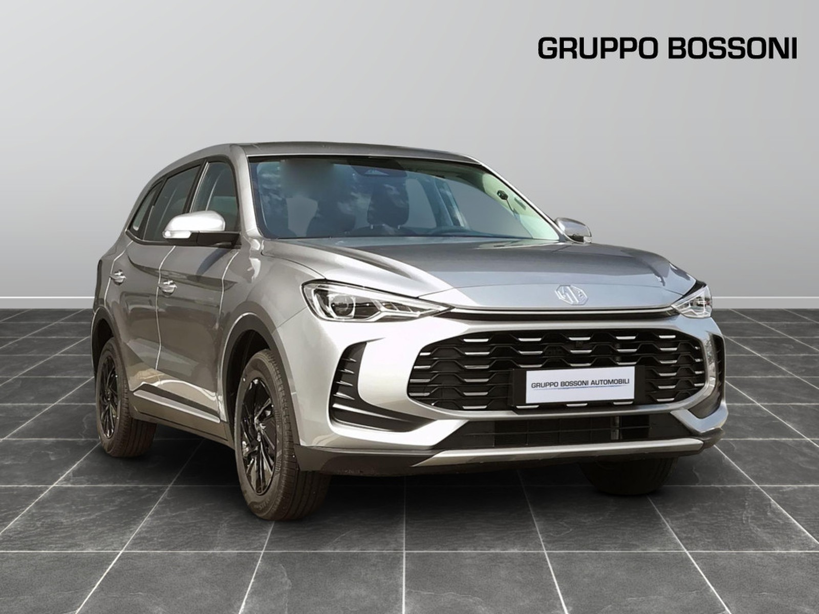 3 - Mg ZS 1.5 standard