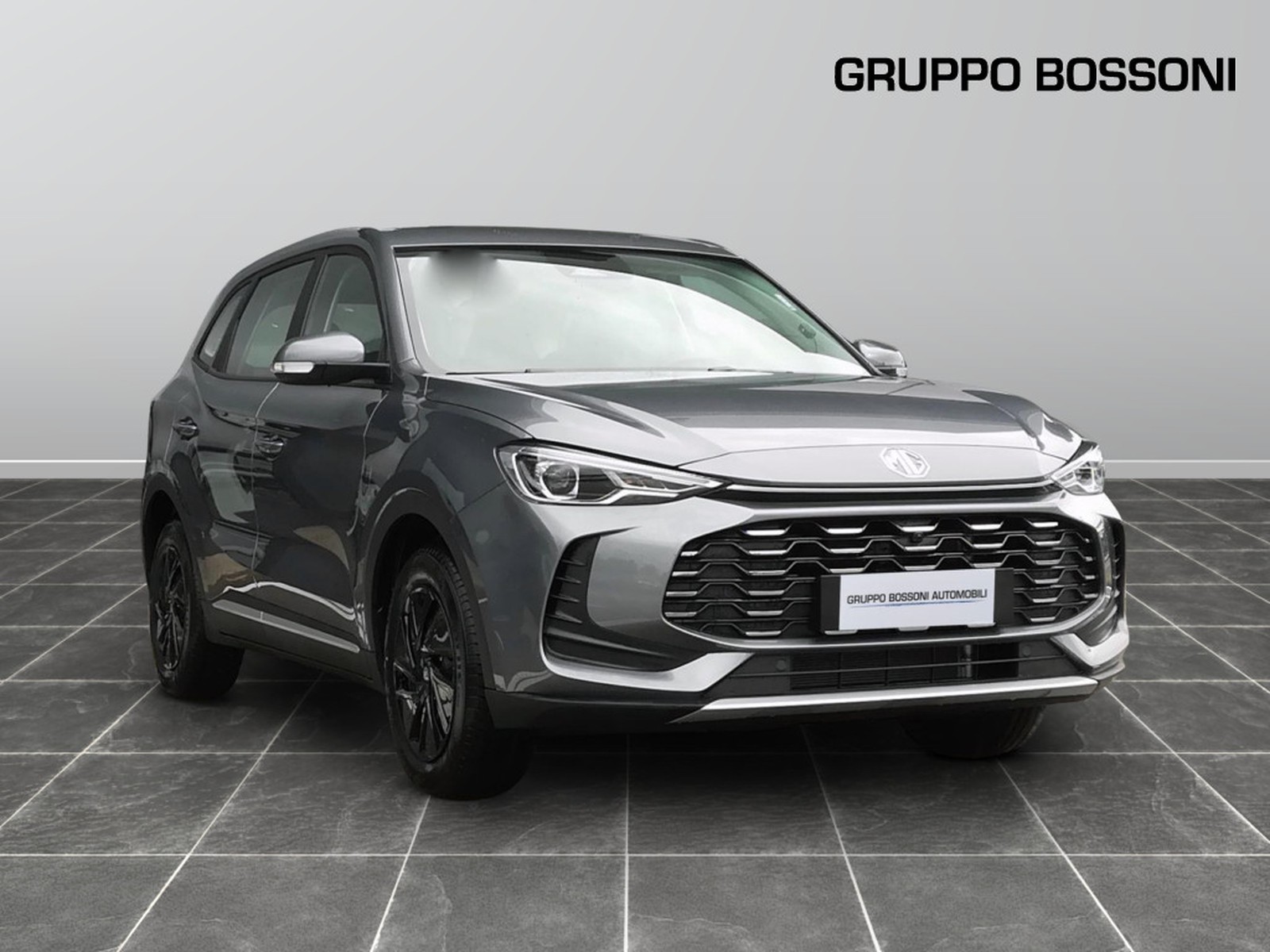 3 - Mg ZS 1.5 standard